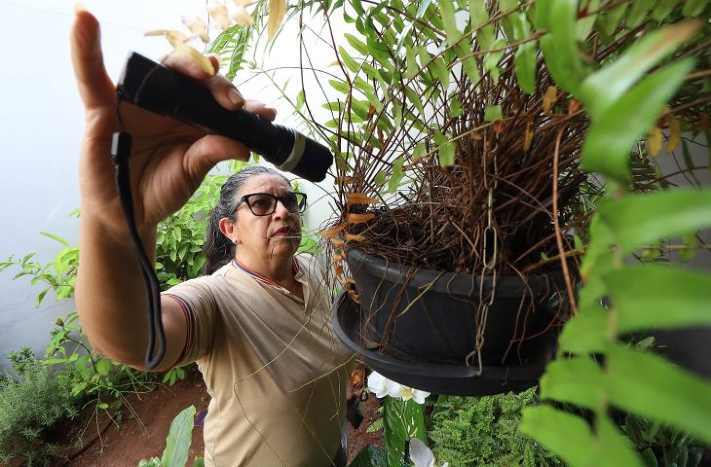 Combate ao Aedes aegypti exige atenção da população para eliminar criadouros e prevenir doenças