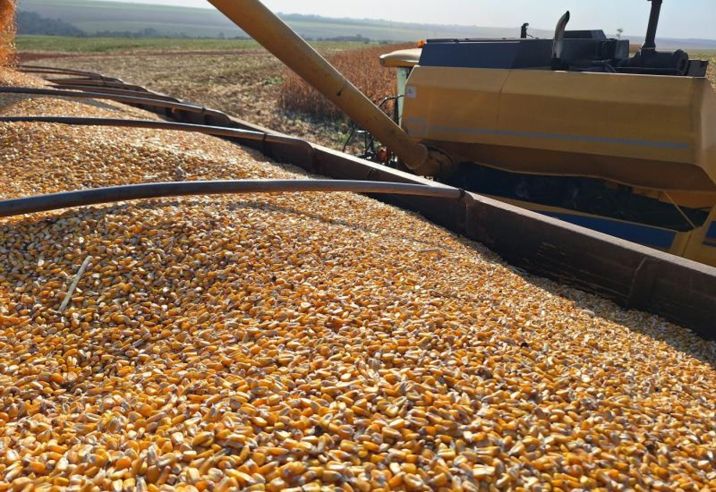 Com colheita do milho perto do fim, produtores de MS avançam no preparo para a safra de soja