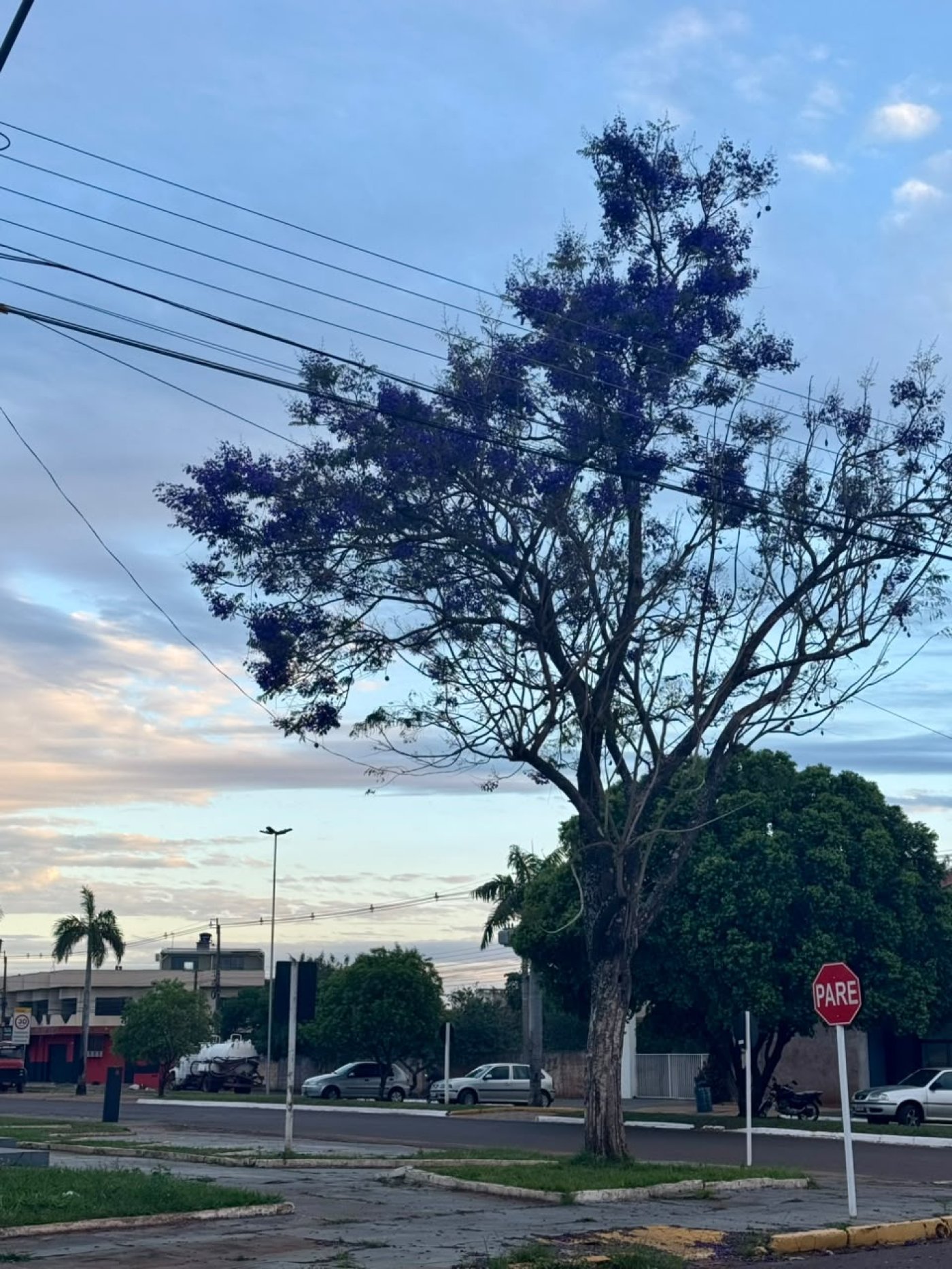 Naviraí terá terça-feira de sol entre nuvens e possibilidade de chuva à tarde e à noite