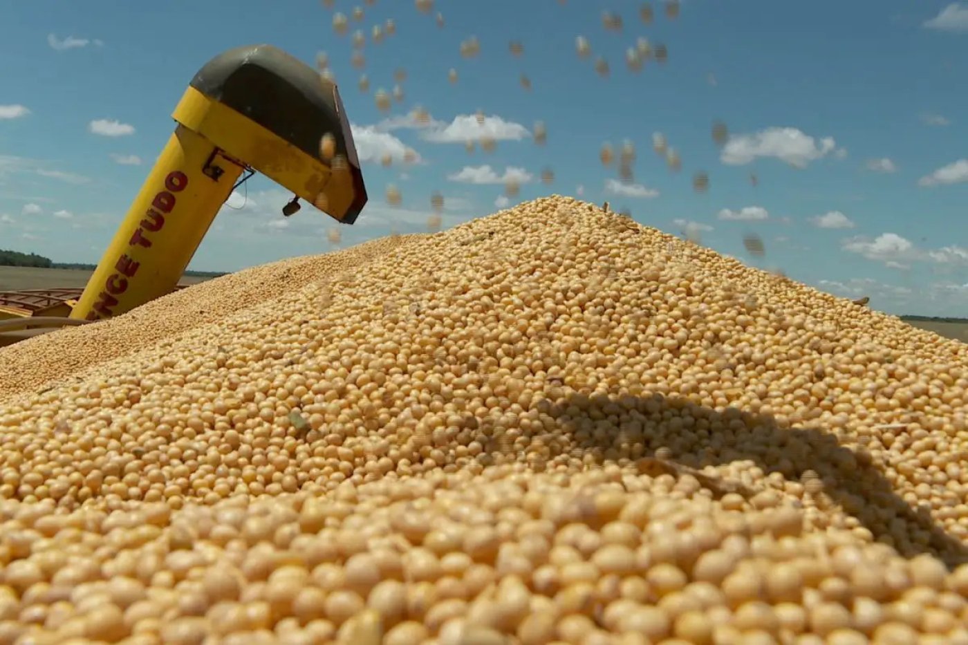 Produtores de MS já venderam 30% da nova safra de soja