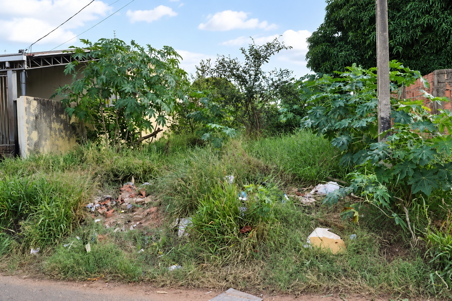 Prefeitura reforça fiscalização e orienta proprietários a manter terrenos limpos em Naviraí